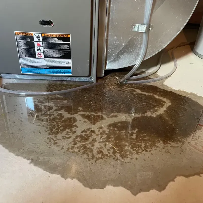 Appliance Leak Cleanup in Rio Verde, AZ